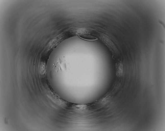 X0000103460478200809191816