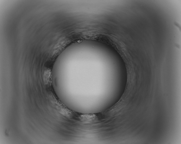 X0000103460480200809191816