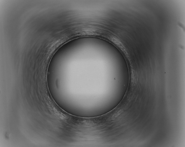 X0000103460481200809191815