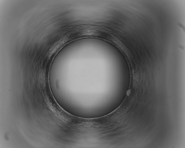 X0000103460482200809191815
