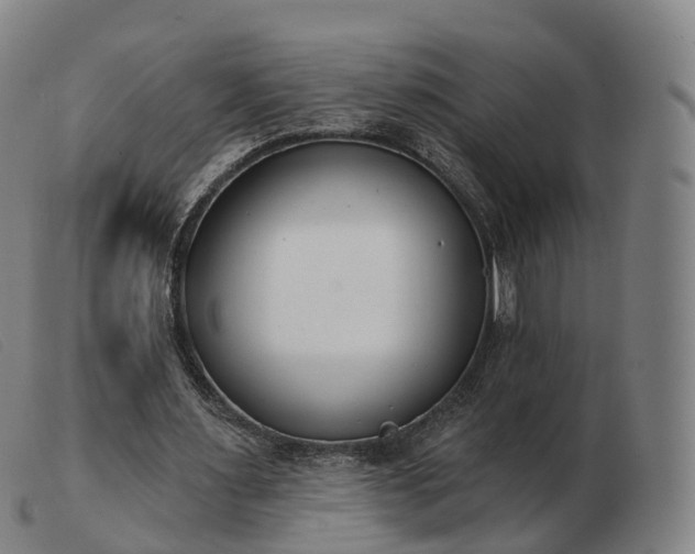 X0000103460483200809191815