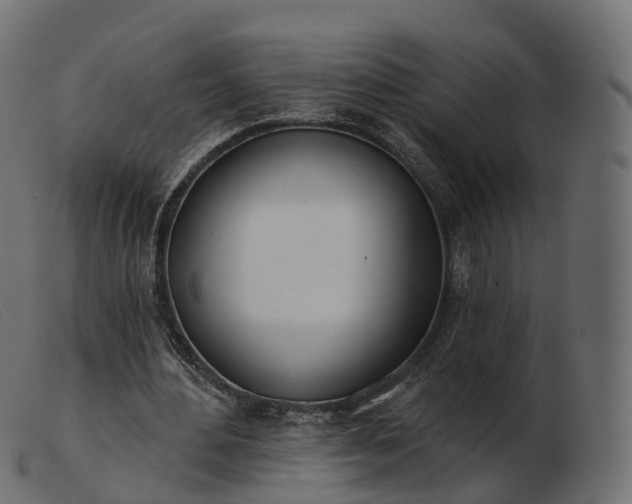 X0000103460484200809191815