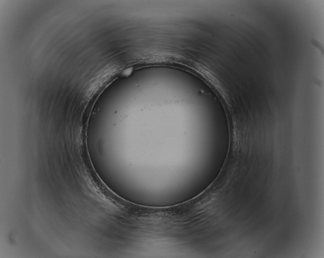X0000103460485200809191815