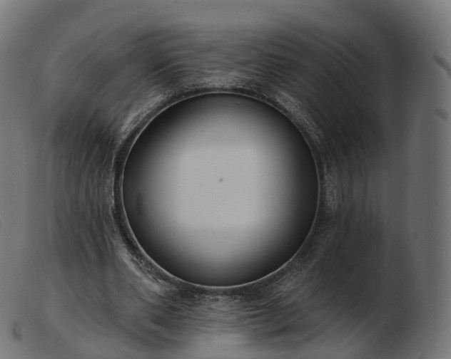 X0000103460486200809191815