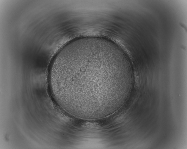 X0000103460487200809191815