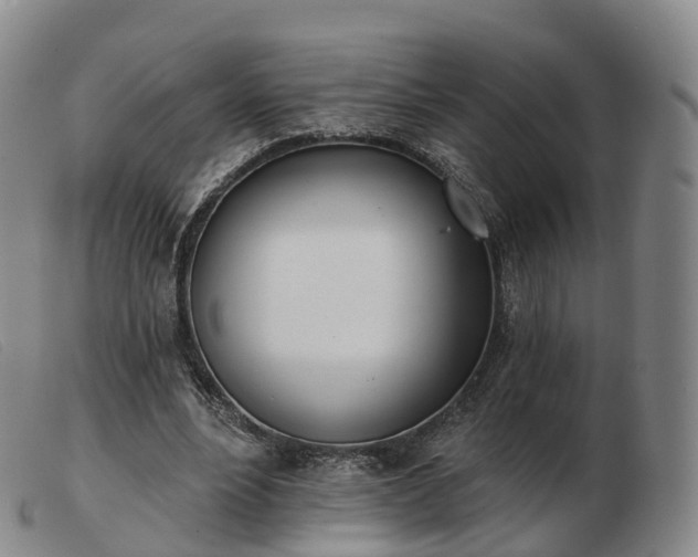 X0000103460488200809191815