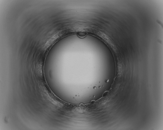 X0000103460489200809191815