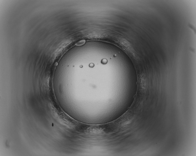 X0000103460491200809191815