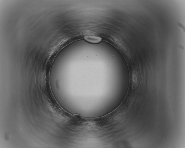 X0000103460492200809191815