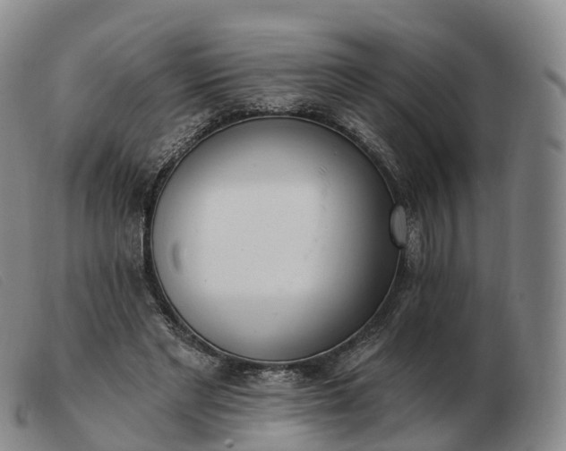 X0000103460493200809191815