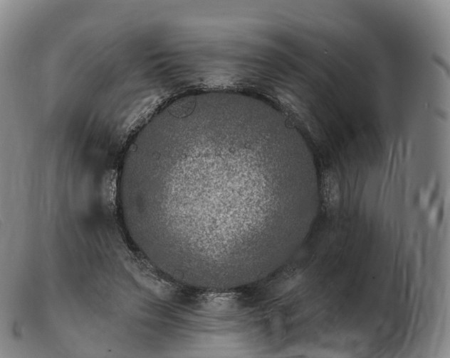 X0000103460495200809191815