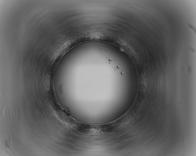 X0000103460496200809191815