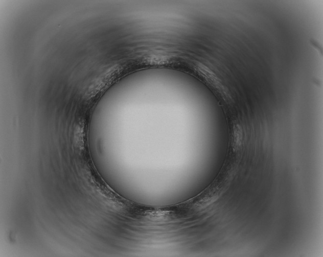 X0000103460497200809191815