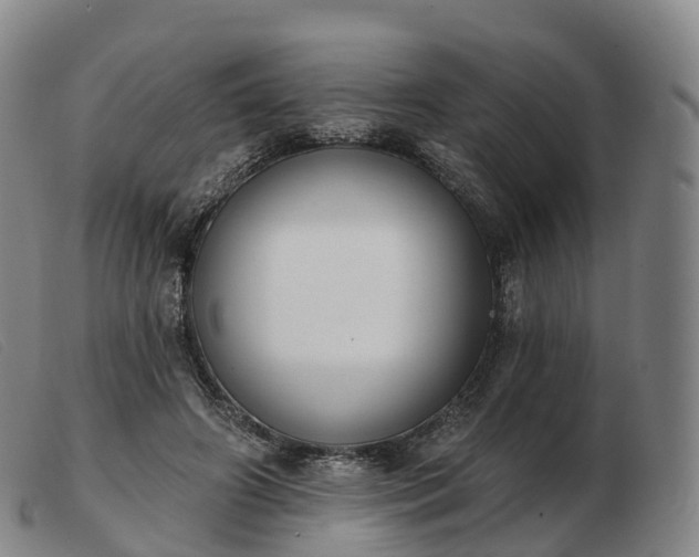 X0000103460498200809191815