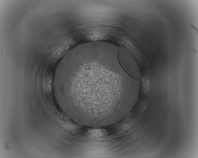 X0000103460499200809191815