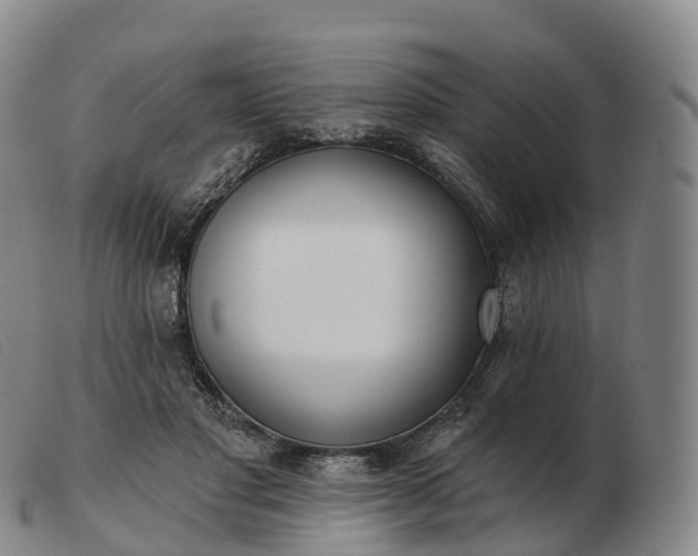 X0000103460501200809191815