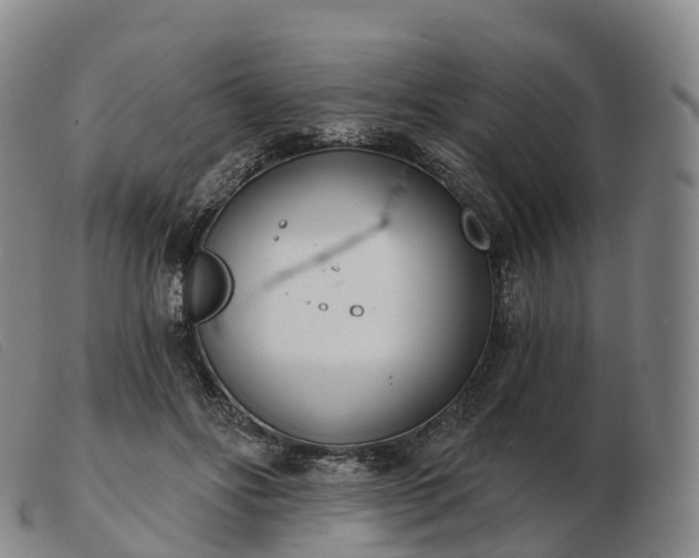 X0000103460502200809191815