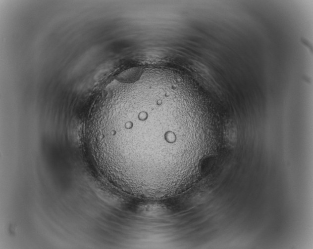 X0000103460503200809191815