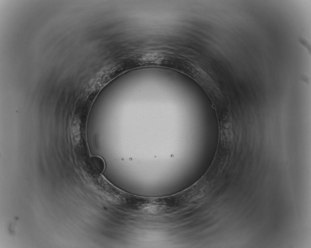 X0000103460504200809191815