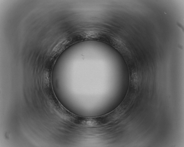 X0000103460506200809191815