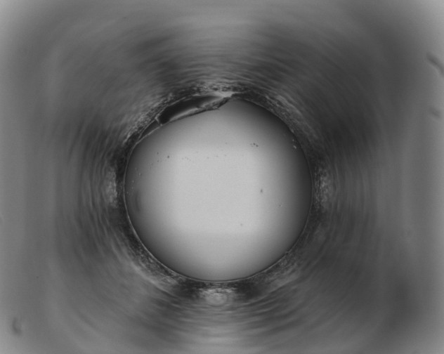 X0000103460508200809191815
