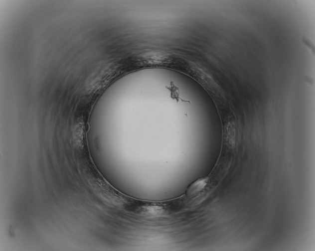 X0000103460509200809191815