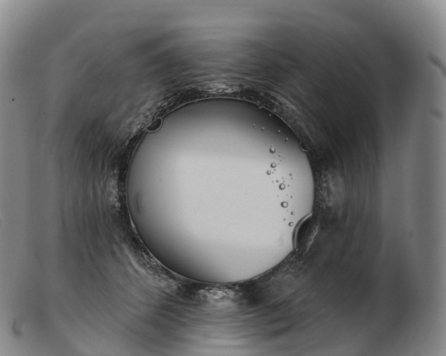 X0000103460512200809191815