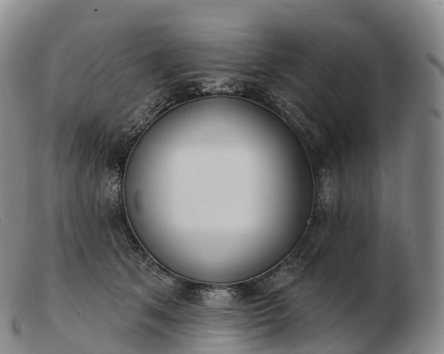 X0000103460513200809191815