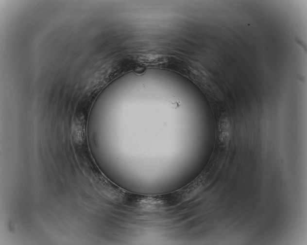 X0000103460515200809191815
