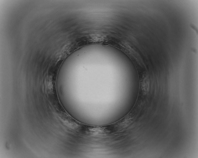 X0000103460516200809191815