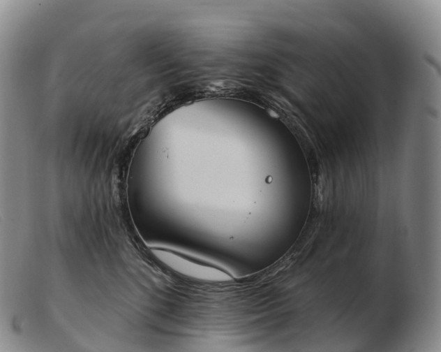 X0000103460520200809191815