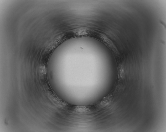 X0000103460521200809191815