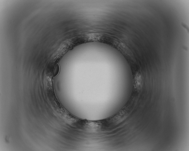 X0000103460522200809191815