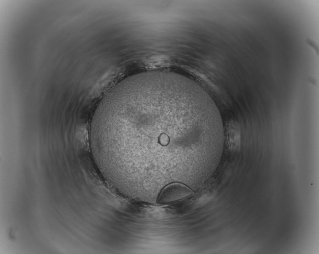 X0000103460523200809191815