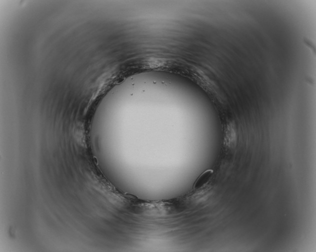 X0000103460524200809191815