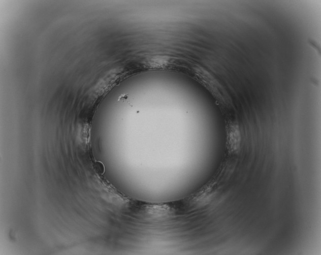 X0000103460525200809191815