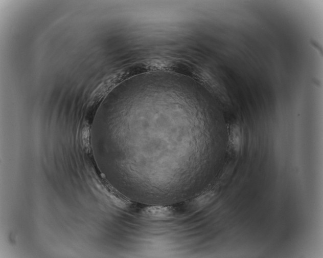 X0000103460526200809191815