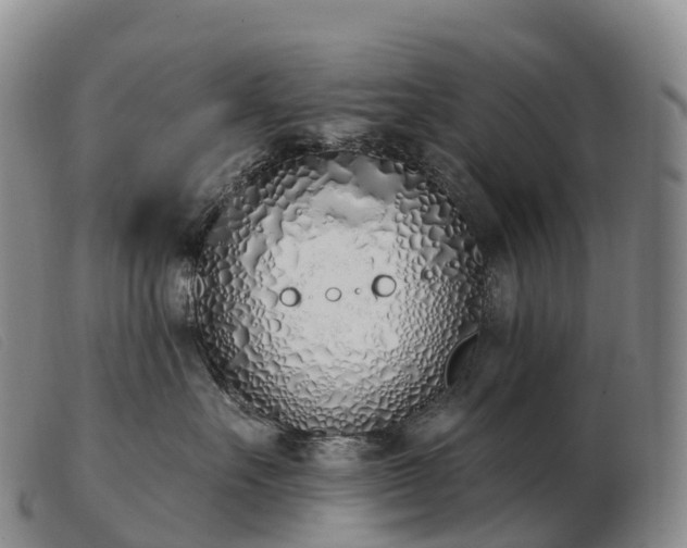 X0000103460527200809191815