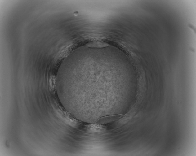X0000103460528200809191815