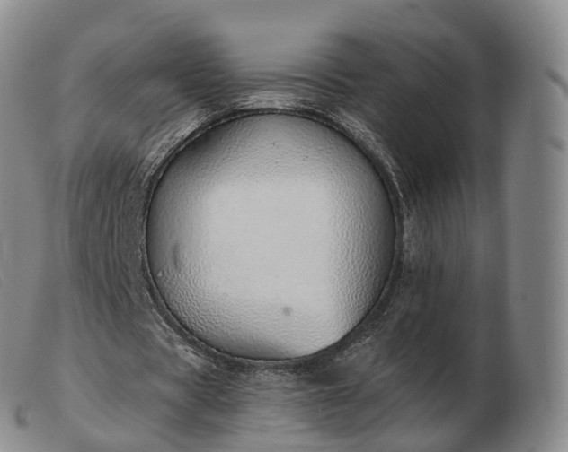 X0000103460529200809191814