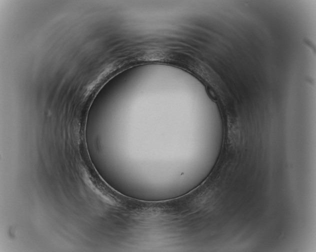 X0000103460530200809191814