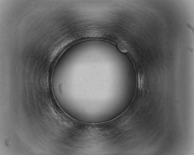 X0000103460531200809191814