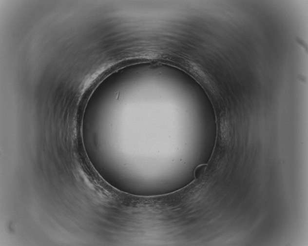 X0000103460532200809191814