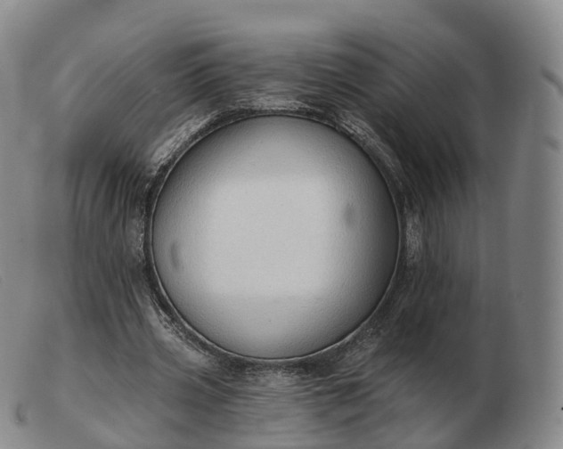 X0000103460533200809191814