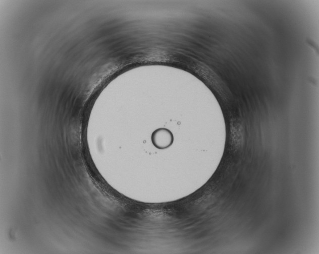 X0000103460534200809191814