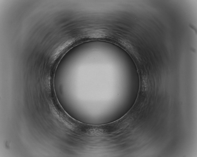 X0000103460535200809191814