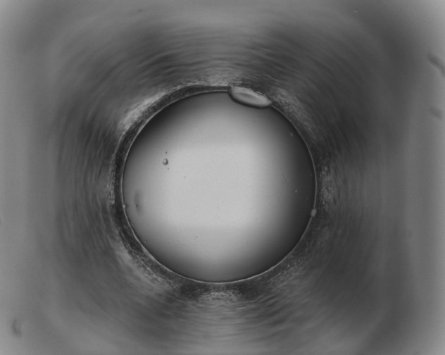 X0000103460536200809191814