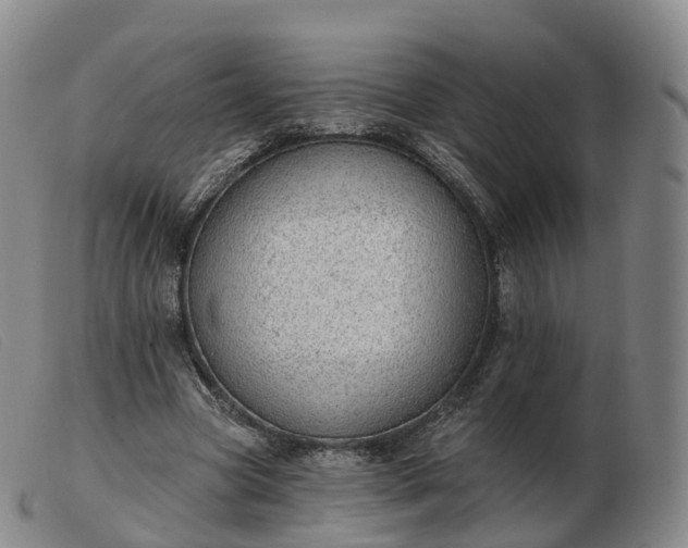 X0000103460537200809191814