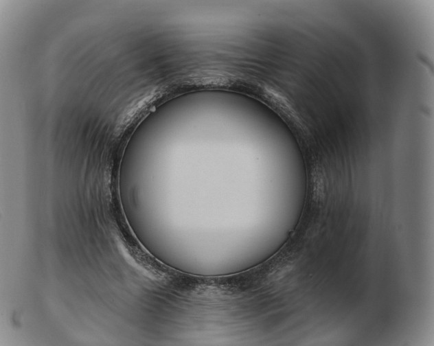 X0000103460538200809191814