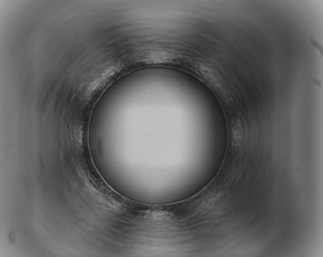 X0000103460539200809191814